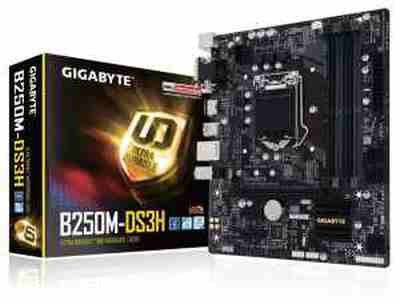 GIGABYTE GA-B250M-DS3H LGA 1151 Intel B250 USB 3.1 Micro ATX Intel Motherboard