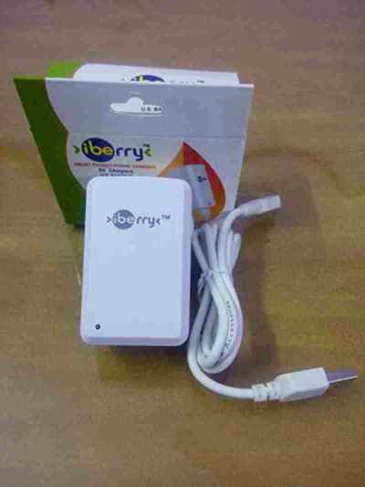 iBerry Mobile Charger 2 Amp Super Fast Charger with 1 Meter USB Cable for All Android and Smart Phone