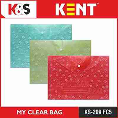 FUTURE X A4 Size Clear Bag (Set Of 12),Full Size A4,Floral Design,Transparent  Plastic Container For Papers,Button Closer File,Document File/Folder,(Multicolor_A4  Size)_2 : Amazon.in: Office Products